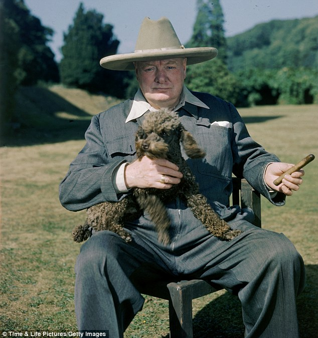 9a3567ee-0267-4f22-b6b7-3b98a03cbb9a-image.png